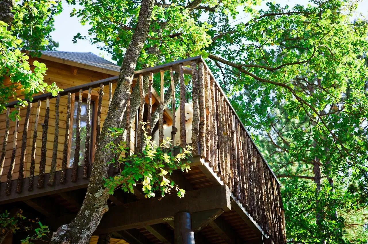 Villa Ferme Fortia à Montreal-les-Sources Hébergement de vacances